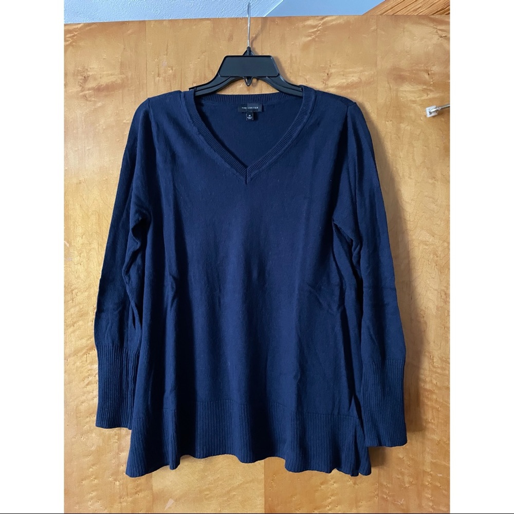 3/$30 The Limited navy sweater
